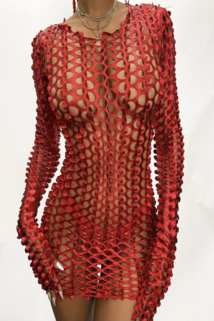 Cherry Fishnet Dress
